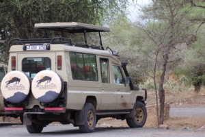 Destination Serengeti safari vehicle
