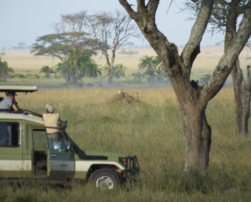 people in a safari jeep watching cheetah on a rock in the Serengeti
