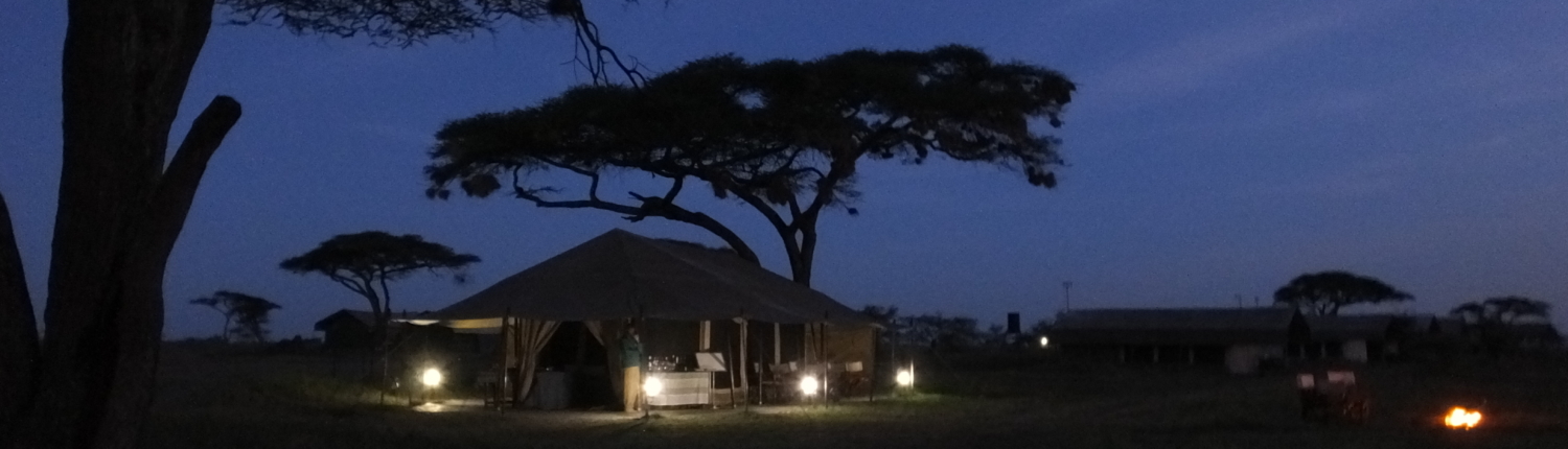 Serengeti mobile camp tents at night with lights