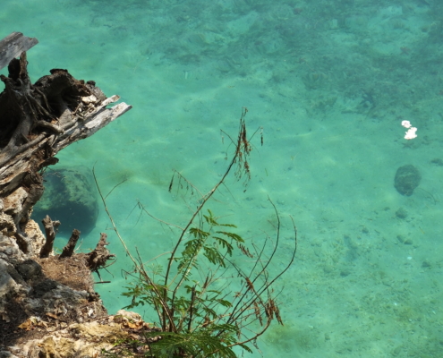 Beautiful Turqoise Zanzibar Water