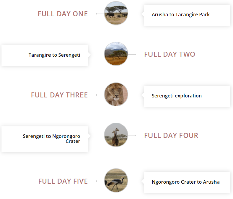 details of the safari itinerary
