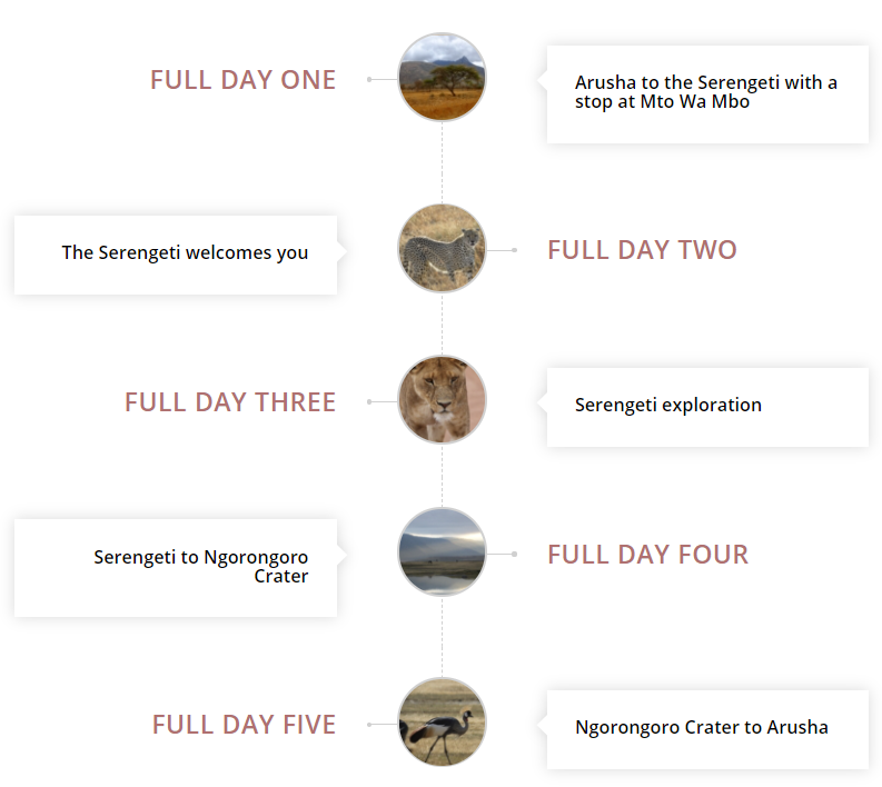 details of the safari itinerary