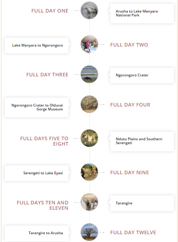 details of the safari itinerary following the great migration in the Ndutu plains of the southern serengeti and birding tour