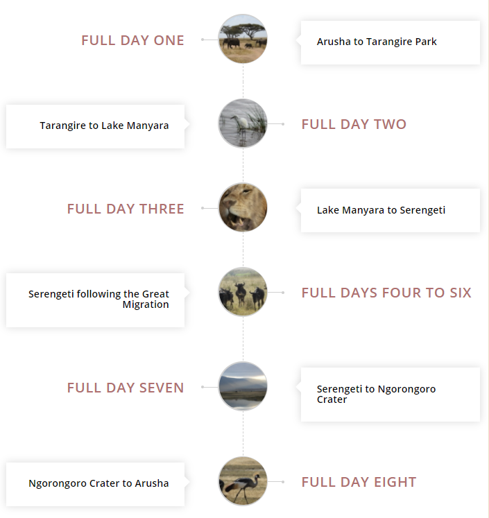 details of the safari itinerary following the great migration