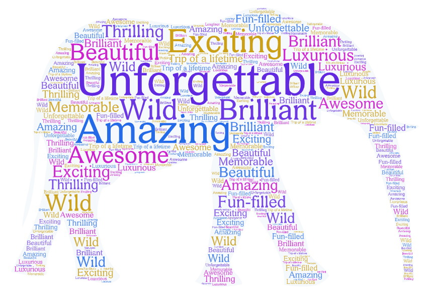 word art with words to describe a safari - from unforgettable to amazing